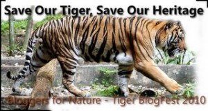 tiger-blogfest2